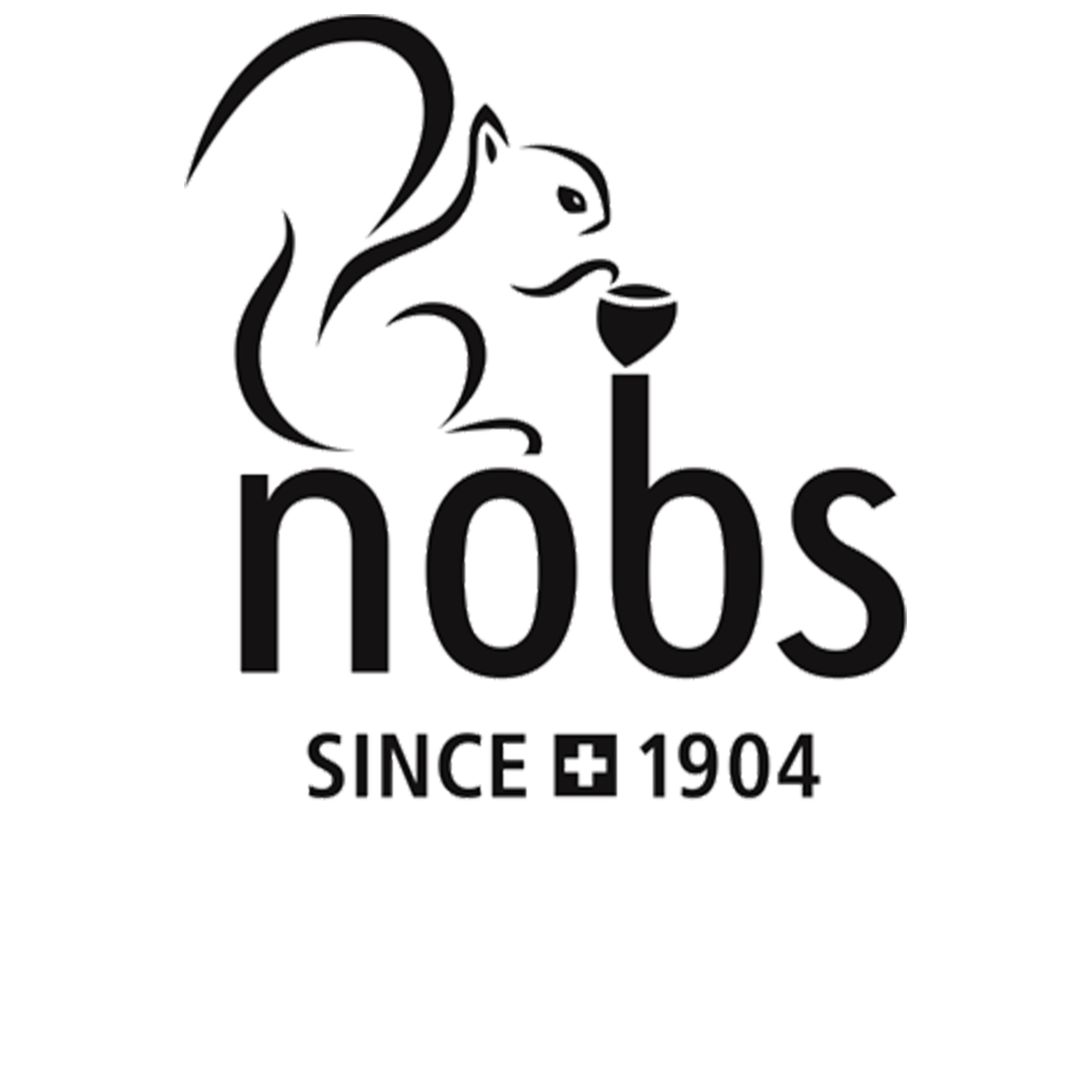 logo nobs